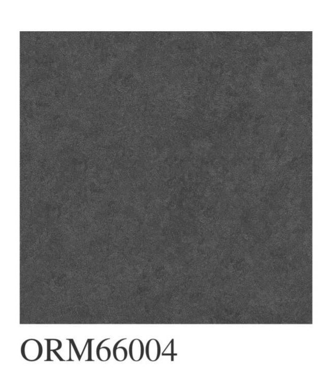 66004